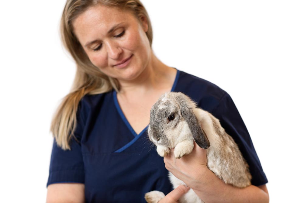 Veterinær Anne Sofie med en kanin